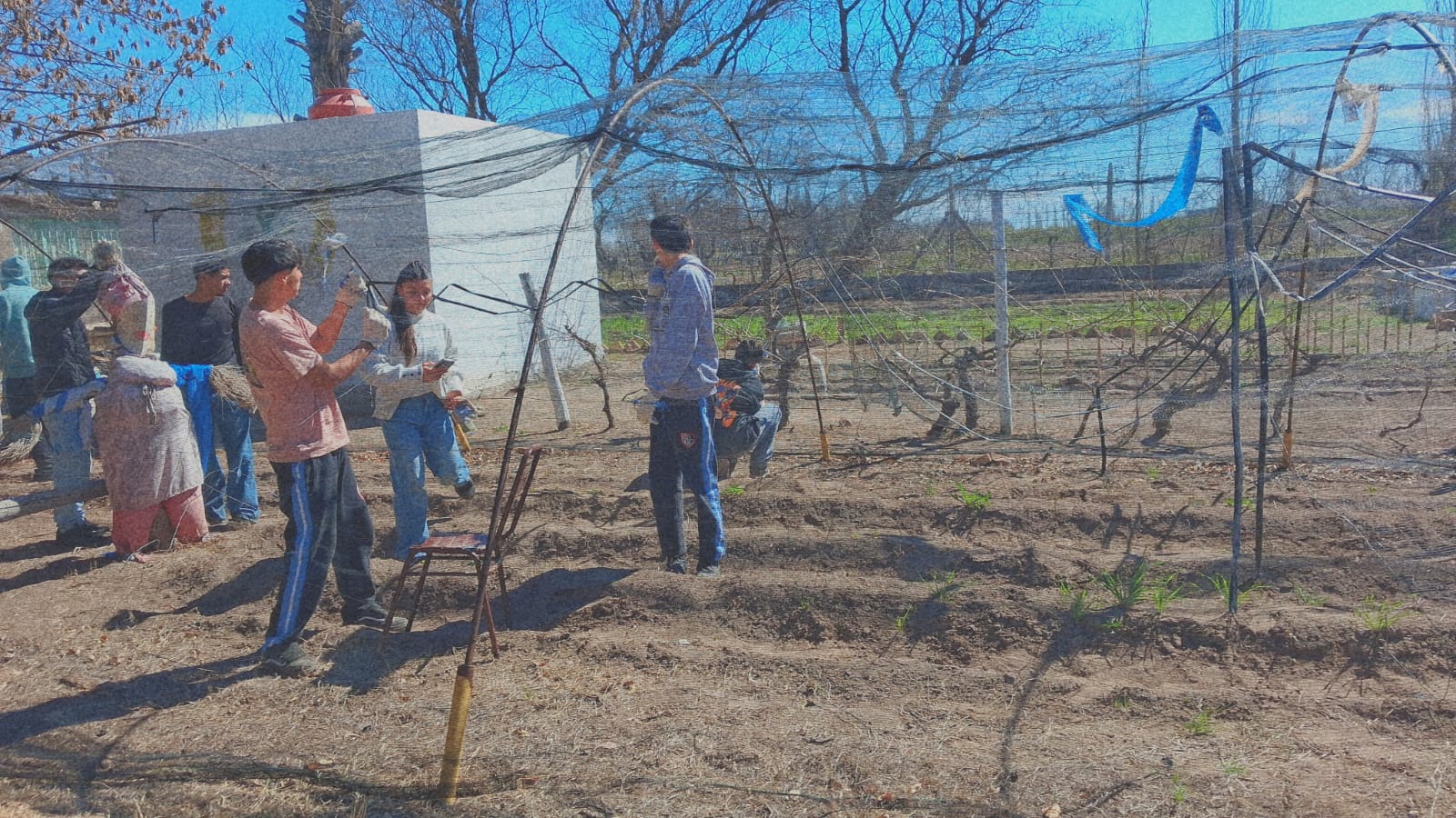 Fotografía del proyecto cooperativo