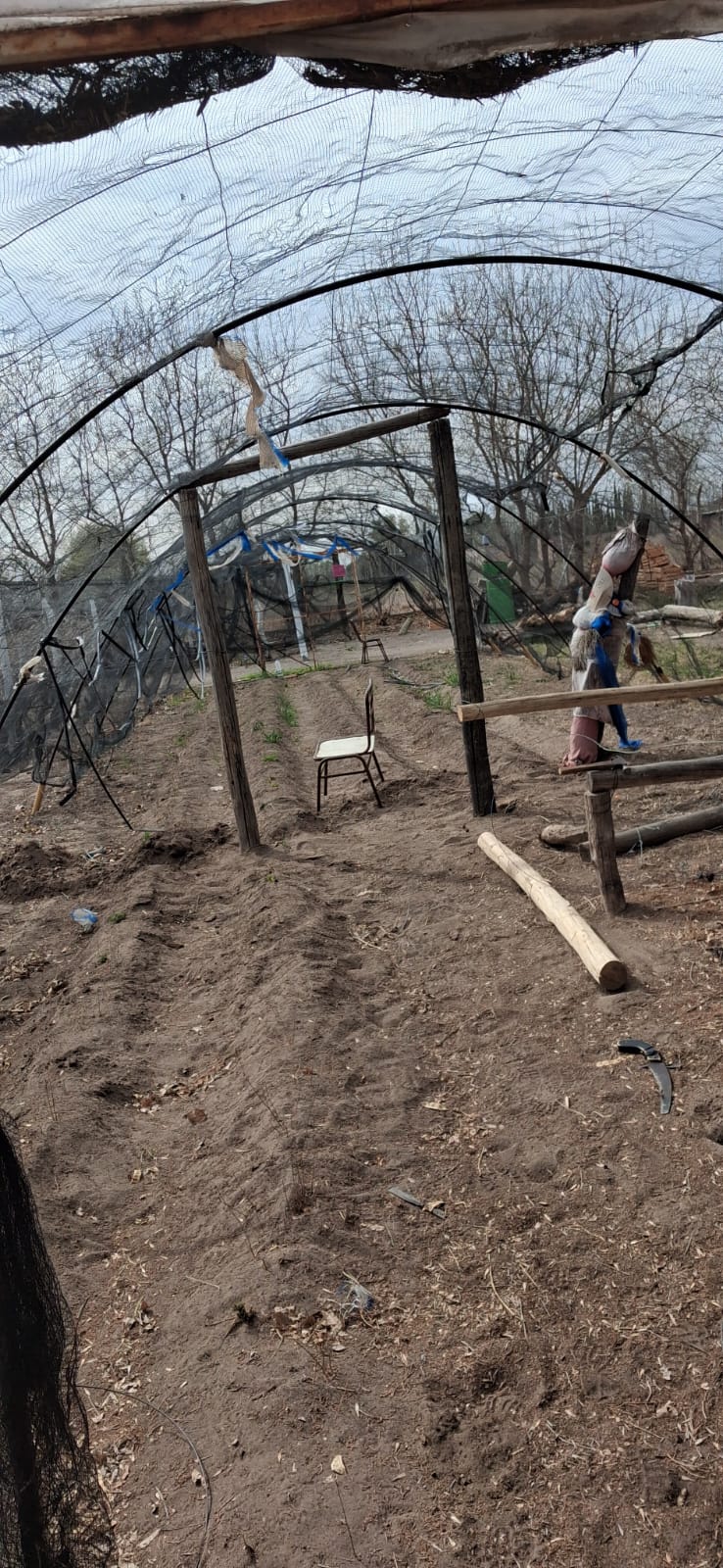 Fotografía del proyecto cooperativo